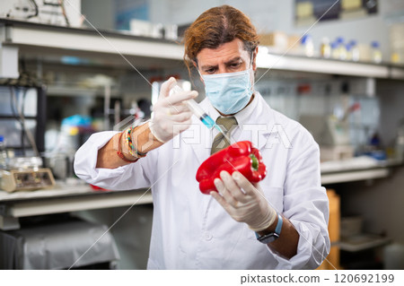 Middle-aged male scientist injecting reagent from syringe into pepper in laboratory Middle-aged male scientist injecting reagent from syringe into pepper in laboratory 120692199