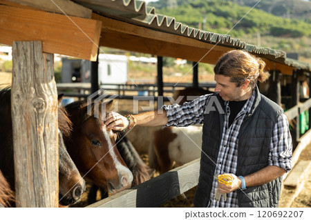 Portrait of man next to pony in stall at stable on summer day 120692207