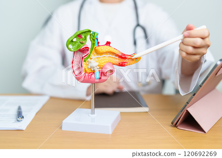 Doctor with human Pancreatitis anatomy model with Pancreas, Gallbladder, Bile Duct, Duodenum, Small intestine and tablet. Pancreatic cancer, acute pancreatitis and Digestive system Doctor with human Pancreatitis anatomy model with Pancreas, Gallbladder, Bile Duct, Duodenum, Small intestine and tablet. Pancreatic cancer, acute pancreatitis and Digestive system 120692269