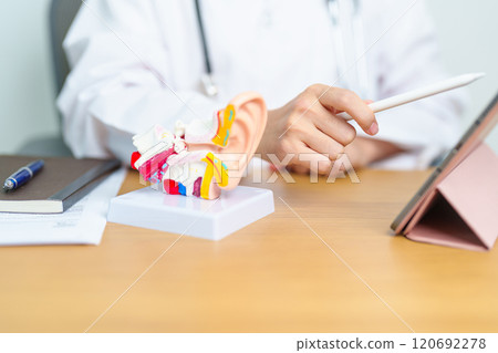 Doctor with human Ear anatomy model with tablet. Ear disease, Atresia, Otitis Media, Pertorated Eardrum, Meniere syndrome, otolaryngologist, Ageing Hearing Loss, Schwannoma and Health Doctor with human Ear anatomy model with tablet. Ear disease, Atresia, Otitis Media, Pertorated Eardrum, Meniere syndrome, otolaryngologist, Ageing Hearing Loss, Schwannoma and Health 120692278