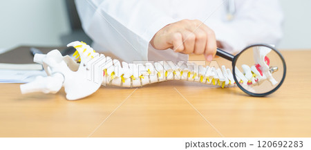Doctor with human Spine anatomy model. Spinal Cord Disorder and disease, Back pain, Lumbar, Sacral pelvis, Cervical neck, Thoracic, Coccyx, Orthopedist, chiropractic, Office Syndrome and health Doctor with human Spine anatomy model. Spinal Cord Disorder and disease, Back pain, Lumbar, Sacral pelvis, Cervical neck, Thoracic, Coccyx, Orthopedist, chiropractic, Office Syndrome and health 120692283