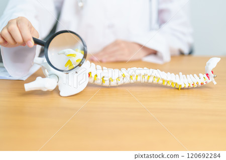Doctor with human Spine anatomy model. Spinal Cord Disorder and disease, Back pain, Lumbar, Sacral pelvis, Cervical neck, Thoracic, Coccyx, Orthopedist, chiropractic, Office Syndrome and health Doctor with human Spine anatomy model. Spinal Cord Disorder and disease, Back pain, Lumbar, Sacral pelvis, Cervical neck, Thoracic, Coccyx, Orthopedist, chiropractic, Office Syndrome and health 120692284