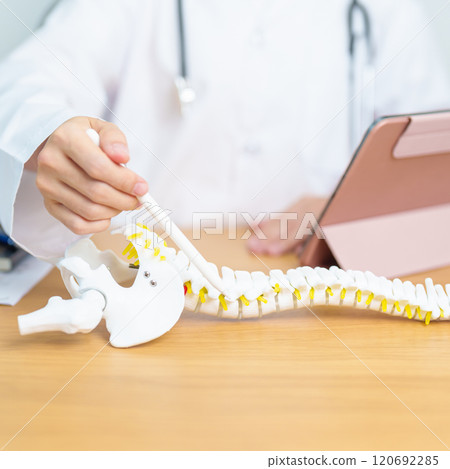 Doctor with human Spine anatomy model. Spinal Cord Disorder and disease, Back pain, Lumbar, Sacral pelvis, Cervical neck, Thoracic, Coccyx, Orthopedist, chiropractic, Office Syndrome and health Doctor with human Spine anatomy model. Spinal Cord Disorder and disease, Back pain, Lumbar, Sacral pelvis, Cervical neck, Thoracic, Coccyx, Orthopedist, chiropractic, Office Syndrome and health 120692285