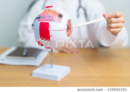 Doctor with human Eye anatomy model with magnifying glass. Eye disease, Refractive Errors, Age Related Macular Degeneration, Cataract, Diabetic Retinopathy, Glaucoma, Amblyopia, Strabismus and Health Doctor with human Eye anatomy model with magnifying glass. Eye disease, Refractive Errors, Age Related Macular Degeneration, Cataract, Diabetic Retinopathy, Glaucoma, Amblyopia, Strabismus and Health 120692291