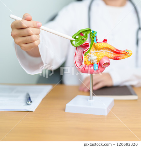 Doctor with human Pancreatitis anatomy model with Pancreas, Gallbladder, Bile Duct, Duodenum, Small intestine and tablet. Pancreatic cancer, acute pancreatitis and Digestive system 120692320