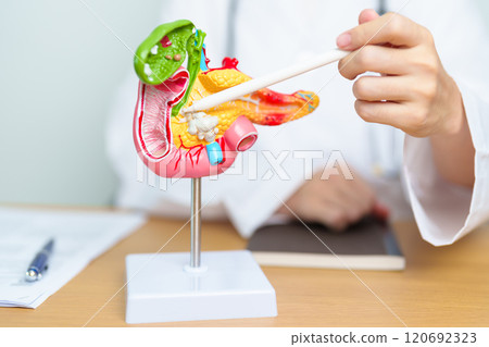 Doctor with human Pancreatitis anatomy model with Pancreas, Gallbladder, Bile Duct, Duodenum, Small intestine and tablet. Pancreatic cancer, acute pancreatitis and Digestive system Doctor with human Pancreatitis anatomy model with Pancreas, Gallbladder, Bile Duct, Duodenum, Small intestine and tablet. Pancreatic cancer, acute pancreatitis and Digestive system 120692323