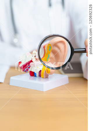 Doctor with human Ear anatomy model with magnifying glass. Ear disease, Atresia, Otitis Media, Pertorated Eardrum, Meniere syndrome, otolaryngologist, Ageing Hearing Loss, Schwannoma and Health Doctor with human Ear anatomy model with magnifying glass. Ear disease, Atresia, Otitis Media, Pertorated Eardrum, Meniere syndrome, otolaryngologist, Ageing Hearing Loss, Schwannoma and Health 120692326