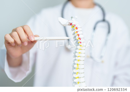 Doctor with human Spine anatomy model. Spinal Cord Disorder and disease, Back pain, Lumbar, Sacral pelvis, Cervical neck, Thoracic, Coccyx, Orthopedist, chiropractic, Office Syndrome and health Doctor with human Spine anatomy model. Spinal Cord Disorder and disease, Back pain, Lumbar, Sacral pelvis, Cervical neck, Thoracic, Coccyx, Orthopedist, chiropractic, Office Syndrome and health 120692334