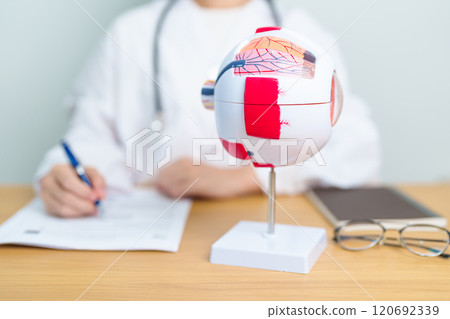 Doctor with human Eye anatomy model with magnifying glass. Eye disease, Refractive Errors, Age Related Macular Degeneration, Cataract, Diabetic Retinopathy, Glaucoma, Amblyopia, Strabismus and Health 120692339