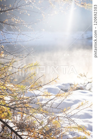 晨霧籠罩的湖泊的聖誕形象 晨霧籠罩的湖泊的聖誕形象 120692383