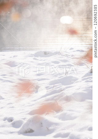 晨霧籠罩的湖泊的聖誕形象 晨霧籠罩的湖泊的聖誕形象 120692385