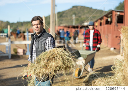 Stable worker collects hay with a pitchfork to feed horses on farm 120692444