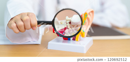 Doctor with human Ear anatomy model with magnifying glass. Ear disease, Atresia, Otitis Media, Pertorated Eardrum, Meniere syndrome, otolaryngologist, Ageing Hearing Loss, Schwannoma and Health Doctor with human Ear anatomy model with magnifying glass. Ear disease, Atresia, Otitis Media, Pertorated Eardrum, Meniere syndrome, otolaryngologist, Ageing Hearing Loss, Schwannoma and Health 120692512