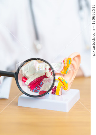 Doctor with human Ear anatomy model with magnifying glass. Ear disease, Atresia, Otitis Media, Pertorated Eardrum, Meniere syndrome, otolaryngologist, Ageing Hearing Loss, Schwannoma and Health 120692513