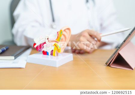 Doctor with human Ear anatomy model with tablet. Ear disease, Atresia, Otitis Media, Pertorated Eardrum, Meniere syndrome, otolaryngologist, Ageing Hearing Loss, Schwannoma and Health 120692515