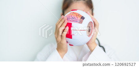 Doctor with human Eye anatomy model with magnifying glass. Eye disease, Refractive Errors, Age Related Macular Degeneration, Cataract, Diabetic Retinopathy, Glaucoma, Amblyopia, Strabismus and Health Doctor with human Eye anatomy model with magnifying glass. Eye disease, Refractive Errors, Age Related Macular Degeneration, Cataract, Diabetic Retinopathy, Glaucoma, Amblyopia, Strabismus and Health 120692527