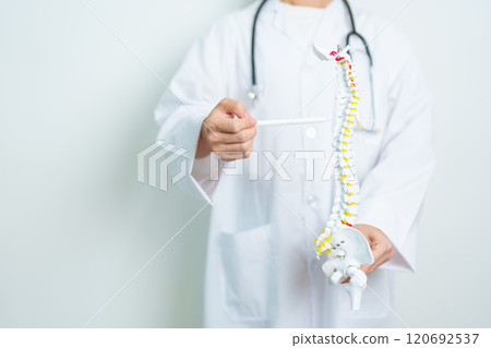 Doctor with human Spine anatomy model. Spinal Cord Disorder and disease, Back pain, Lumbar, Sacral pelvis, Cervical neck, Thoracic, Coccyx, Orthopedist, chiropractic, Office Syndrome and health Doctor with human Spine anatomy model. Spinal Cord Disorder and disease, Back pain, Lumbar, Sacral pelvis, Cervical neck, Thoracic, Coccyx, Orthopedist, chiropractic, Office Syndrome and health 120692537