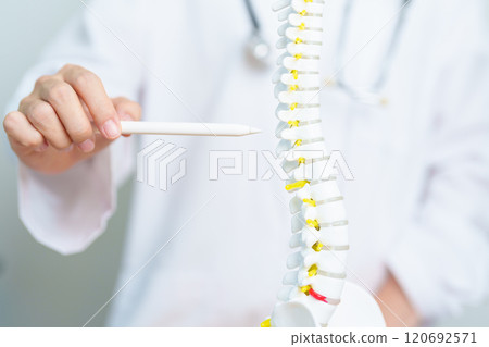 Doctor with human Spine anatomy model. Spinal Cord Disorder and disease, Back pain, Lumbar, Sacral pelvis, Cervical neck, Thoracic, Coccyx, Orthopedist, chiropractic, Office Syndrome and health Doctor with human Spine anatomy model. Spinal Cord Disorder and disease, Back pain, Lumbar, Sacral pelvis, Cervical neck, Thoracic, Coccyx, Orthopedist, chiropractic, Office Syndrome and health 120692571