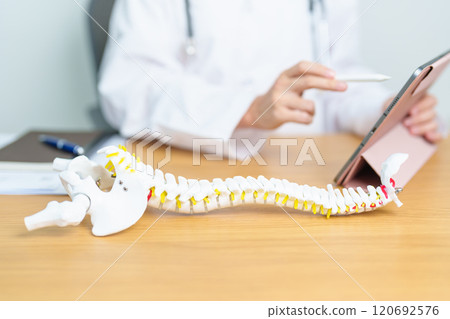 Doctor with human Spine anatomy model. Spinal Cord Disorder and disease, Back pain, Lumbar, Sacral pelvis, Cervical neck, Thoracic, Coccyx, Orthopedist, chiropractic, Office Syndrome and health Doctor with human Spine anatomy model. Spinal Cord Disorder and disease, Back pain, Lumbar, Sacral pelvis, Cervical neck, Thoracic, Coccyx, Orthopedist, chiropractic, Office Syndrome and health 120692576