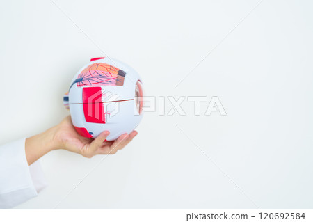 Doctor with human Eye anatomy model with magnifying glass. Eye disease, Refractive Errors, Age Related Macular Degeneration, Cataract, Diabetic Retinopathy, Glaucoma, Amblyopia, Strabismus and Health 120692584