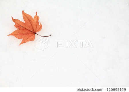 Fallen leaves frame Fallen leaves on snow 120693159
