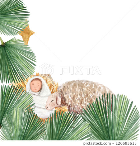 Wooden manger with baby Jesus, sheep looking at him palm leaves watercolor card isolated on white. Hand painted perfect for cards, stickers, celebration of true Christmas. Christian tradition clipart Wooden manger with baby Jesus, sheep looking at him palm leaves watercolor card isolated on white. Hand painted perfect for cards, stickers, celebration of true Christmas. Christian tradition clipart 120693613
