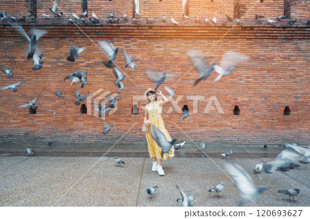 Young asian woman traveler in Yellow dress with hat and bag traveling on Tha Pae Gate, Tourist visit at the old city in Chang Mai, Thailand. Asia Travel, Vacation and summer holiday concept Young asian woman traveler in Yellow dress with hat and bag traveling on Tha Pae Gate, Tourist visit at the old city in Chang Mai, Thailand. Asia Travel, Vacation and summer holiday concept 120693627
