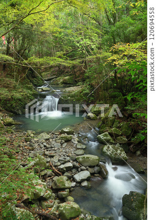 塔瀑布（犬鳴山溪谷）[大阪府泉佐野市] 120694558