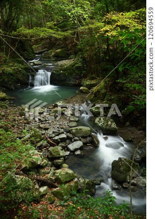 塔瀑布（犬鳴山溪谷）[大阪府泉佐野市] 120694559