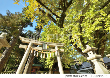 加茂神社（銀杏）[和歌山縣紀之川市] 120694598