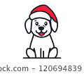 Christmas puppy in a Santa hat 120694839