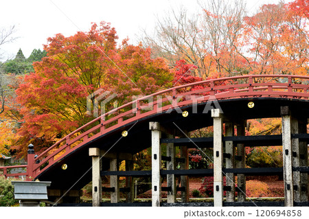 Niutsuhime神社（Rinkyo）[和歌山縣伊東郡葛城町上天野] 120694858