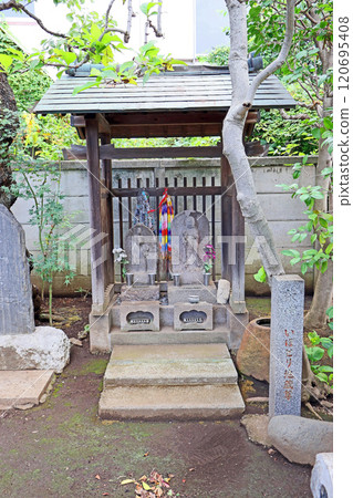 Koshoji Temple (Chofu) Koshoji Temple (Chofu) 120695408
