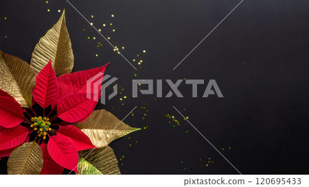 Red poinsettia and gold leaves on a black background 120695433