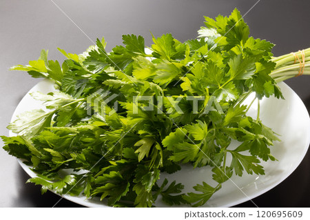 意大利歐芹 120695609