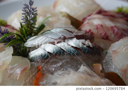 Fresh mackerel sashimi with a silvery sheen 120695784