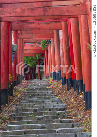 Autumn at Mount Koya: Kiyotaka Inari Shrine approach Autumn at Mount Koya: Kiyotaka Inari Shrine approach 120695852