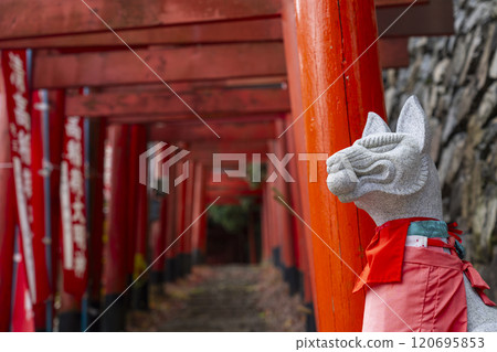 秋天的高野山,清高稻荷神社的參道 秋天的高野山,清高稻荷神社的參道 120695853