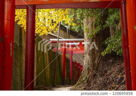 秋天的高野山,清高稻荷神社的參道 秋天的高野山,清高稻荷神社的參道 120695856