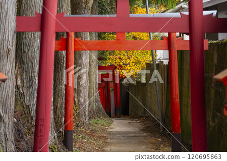 秋天的高野山、清高稻荷神社、朱紅色的鳥居 120695863