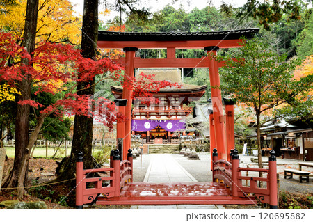 入都姬神社（鳥居）[和歌山縣伊東郡葛城町] 120695882
