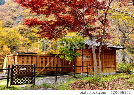 The private open-air bath "Seisen-no-Yu" at Kiyotsukan Yumoto Onsen in Niigata Prefecture and autumn leaves 120696162
