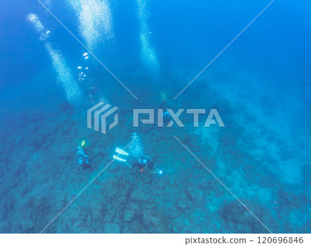 Scuba divers diving into the deep blue sea. Nakagi Hirizo Beach, Minamiizu-cho, Kamo-gun, Izu Peninsula, Shizuoka Prefecture, 2024 120696846