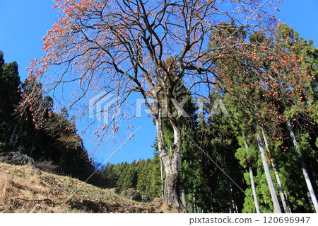 Winter scenery seen from Arafune Air Cave 120696947