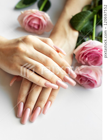 Woman showing her beautiful pastel pink manicure near pink roses Woman showing her beautiful pastel pink manicure near pink roses 120697552