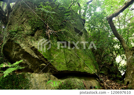 清瀧石佛群【奈良縣平郡町】 120697610