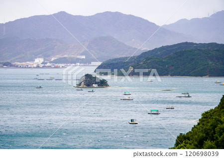 鳴門市的筏釣(德島縣鳴門市) 鳴門市的筏釣(德島縣鳴門市) 120698039