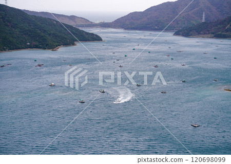 鳴門市的筏釣(德島縣鳴門市) 鳴門市的筏釣(德島縣鳴門市) 120698099