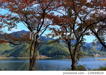 秋天的河口湖周邊 秋天的河口湖周邊 120698629