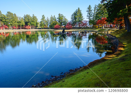Beautiful autumn foliage at the Pure Land garden of Motsuji Temple, Oizumigaike Pond, Iwate Prefecture Beautiful autumn foliage at the Pure Land garden of Motsuji Temple, Oizumigaike Pond, Iwate Prefecture 120698800